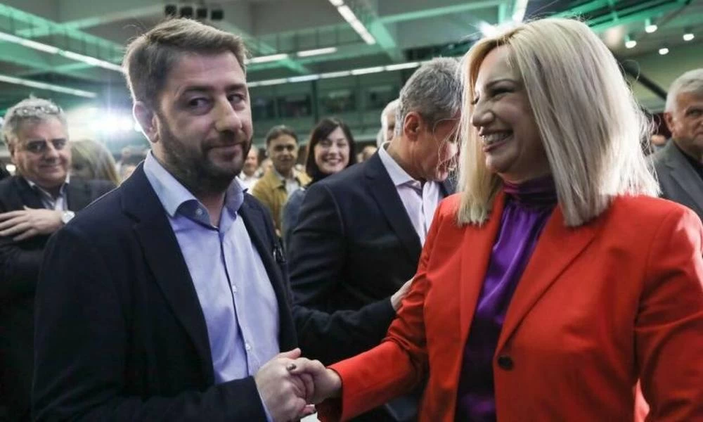 Ανδρουλάκης: Θα αφήσει ένα λουλούδι στο μνήμα της Φώφης Γεννηματά